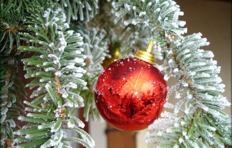 comment commande son sapin en ligne?