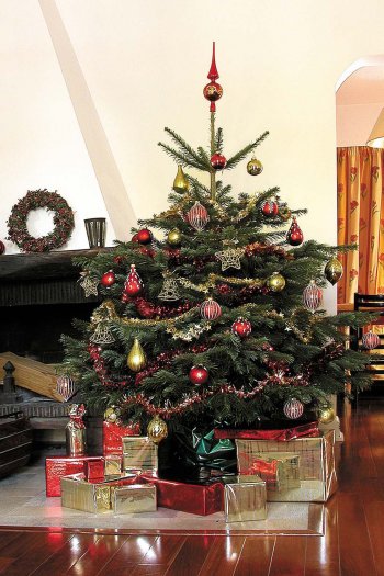 Sapin de Noël Nordmann