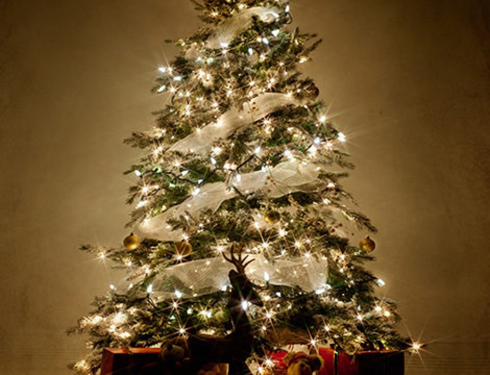 Insolite mais efficace : l âge de mon sapin Livraison