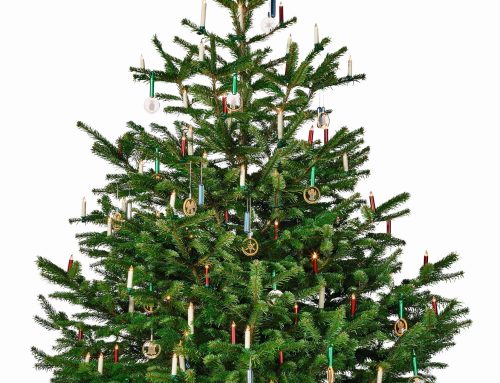 Support de sapin